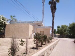 המוסד לביטוח לאומי